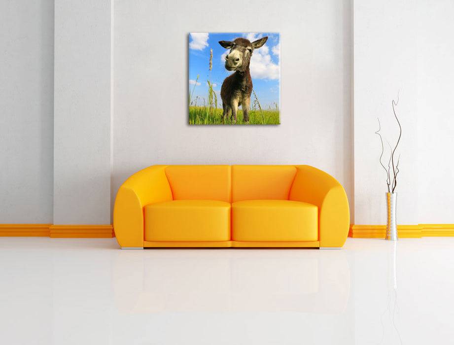 Pixxprint Esel in einem Feld, Leinwandbild Top Angebot