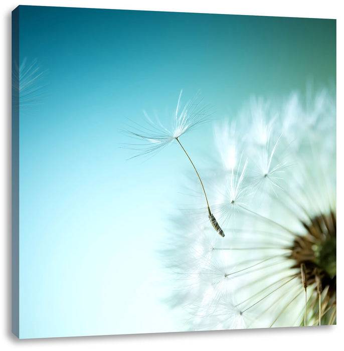 Pixxprint Löwenzahn Pusteblume, Leinwandbild Neueste Mode