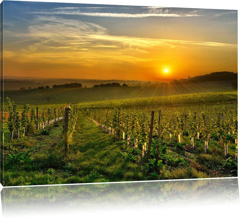 Pixxprint Weinberg in Bergerac Frankreich, Leinwandbild Zeitlich begrenztes Angebot