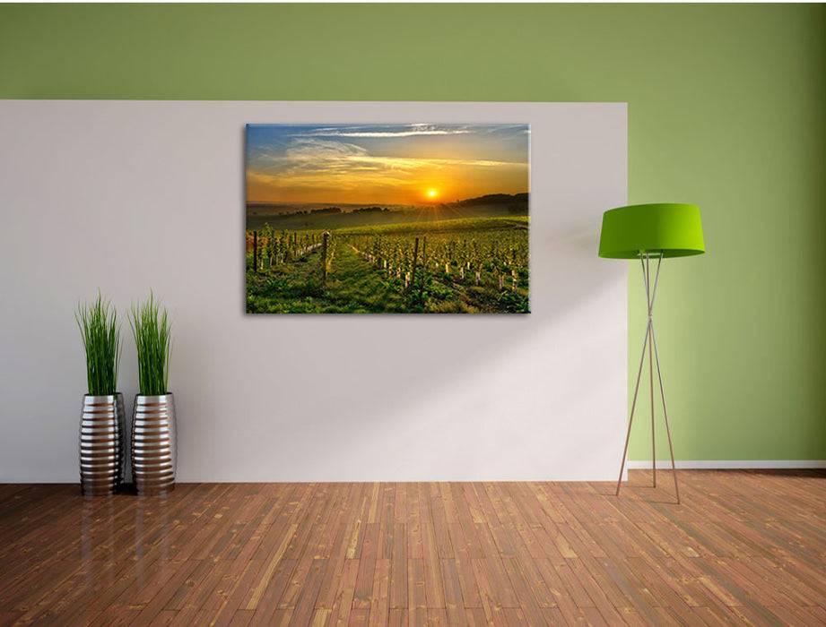 Pixxprint Weinberg in Bergerac Frankreich, Leinwandbild Zeitlich begrenztes Angebot
