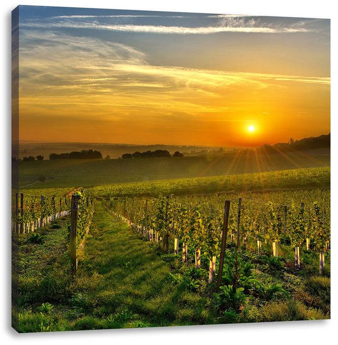 Pixxprint Weinberg in Bergerac Frankreich, Leinwandbild Zeitlich begrenztes Angebot