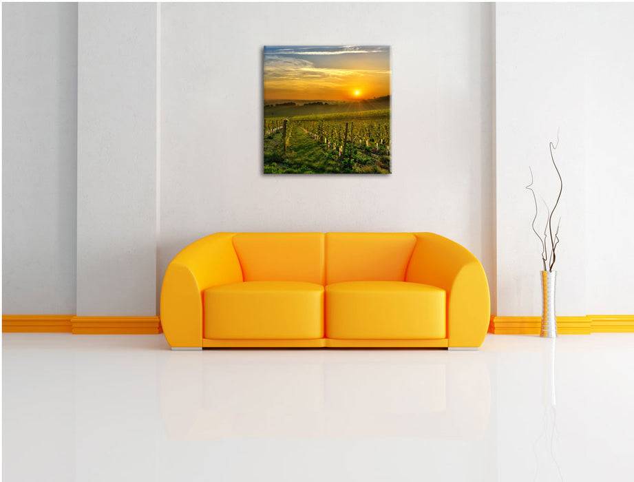 Pixxprint Weinberg in Bergerac Frankreich, Leinwandbild Zeitlich begrenztes Angebot