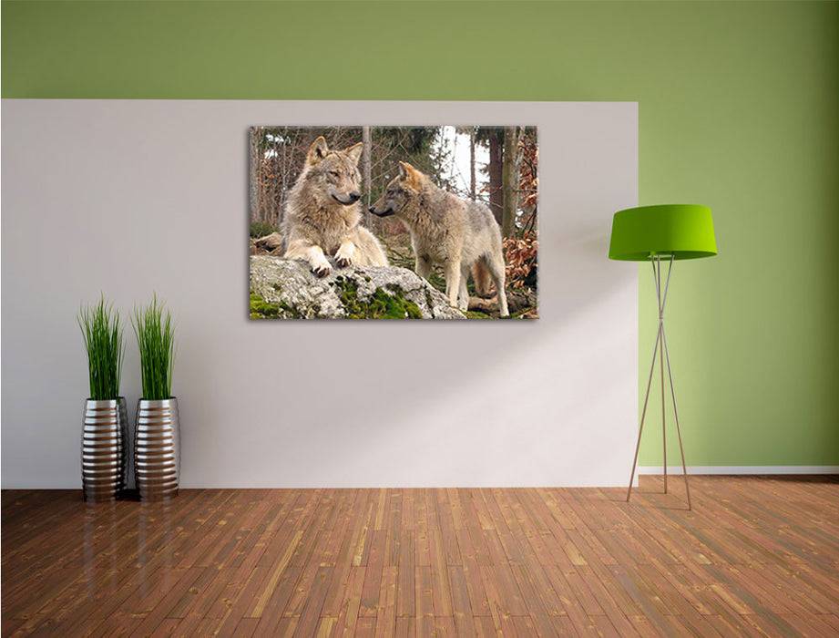 Pixxprint Wölfe im Wald, Leinwandbild Blitzangebot