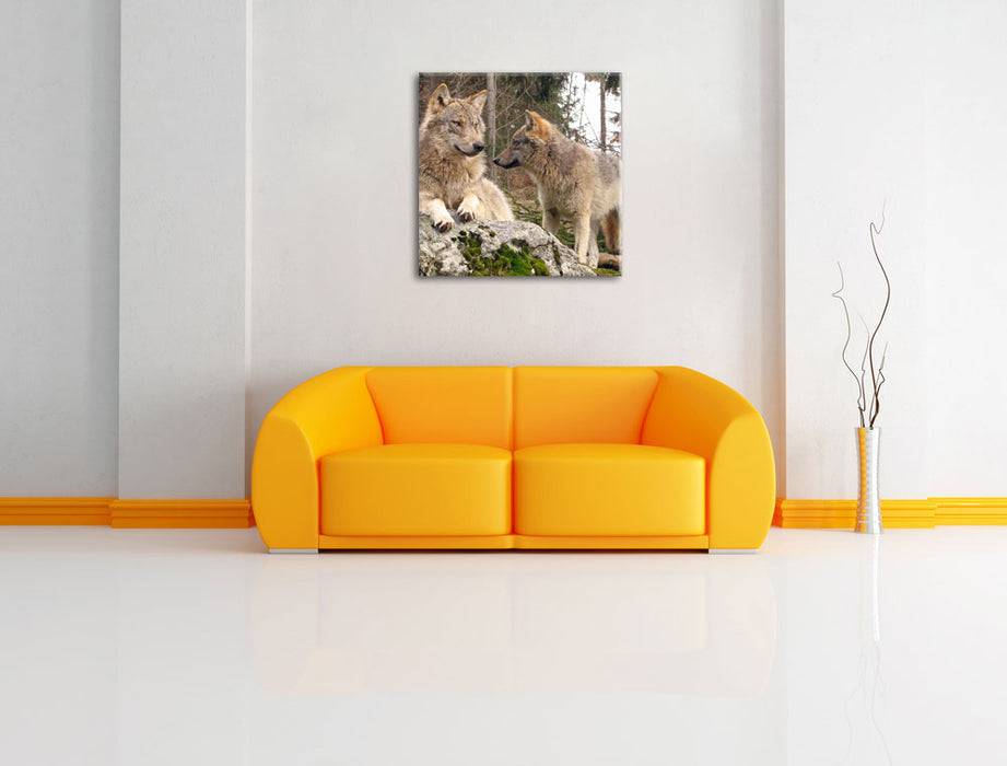 Pixxprint Wölfe im Wald, Leinwandbild Blitzangebot