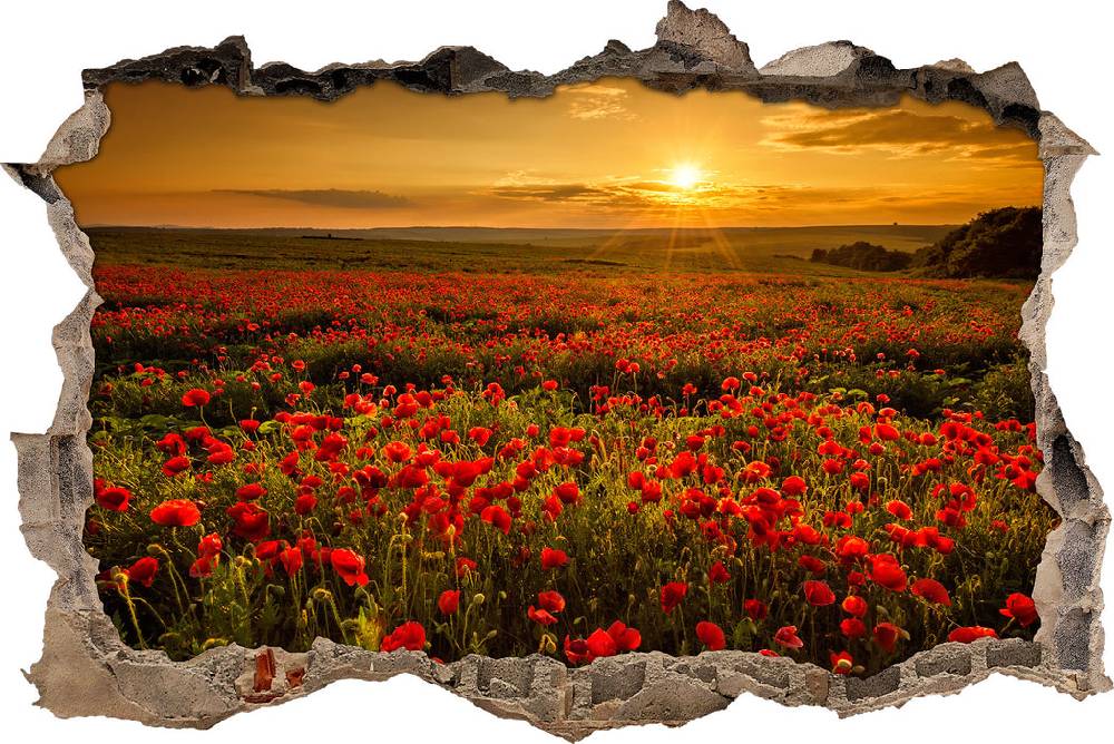 Pixxprint Mohnblütenfeld bei Sonnenuntergang, 3D Wandtattoo