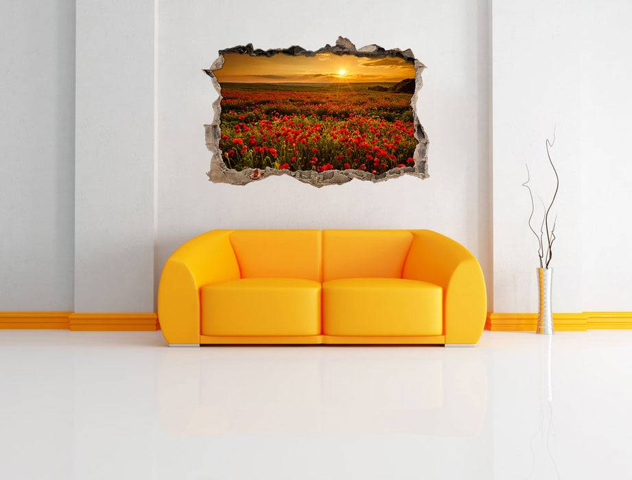 Pixxprint Mohnblütenfeld bei Sonnenuntergang, 3D Wandtattoo Wochenangebot