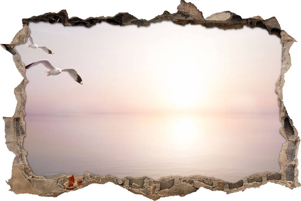 Pixxprint Möwen am Meer bei Sonnenaufgang, 3D Wandtattoo