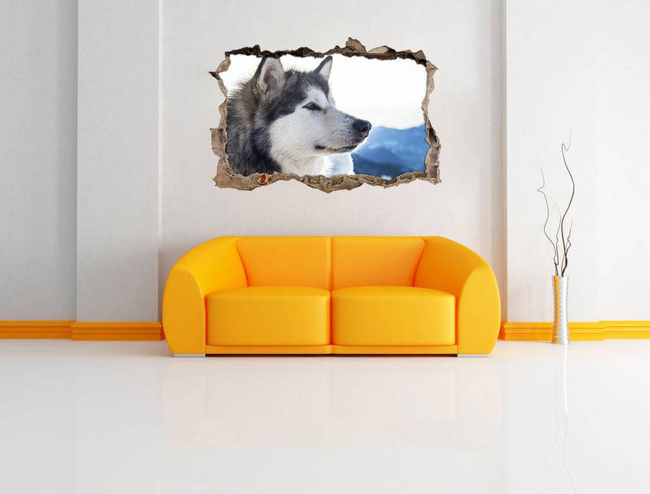 Pixxprint Süßer Husky im Schnee, 3D Wandtattoo Zeitbegrenzte Promotion