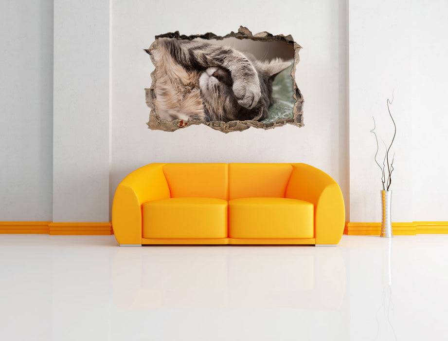 Pixxprint Schüchterne niedliche Katze, 3D Wandtattoo Bis zu 50% Rabatt