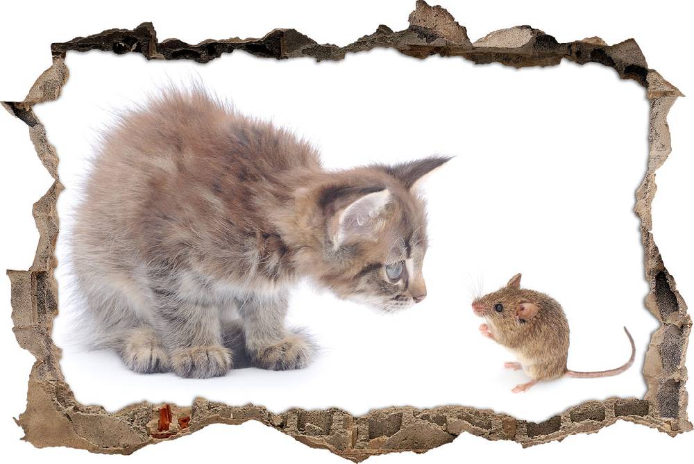 Pixxprint Katze und Maus Freunde, 3D Wandtattoo