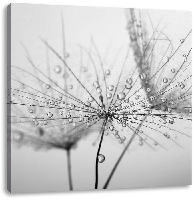 Pixxprint Pusteblume bedeckt mit Tropfen, Leinwandbild Vierteljährliche Förderung