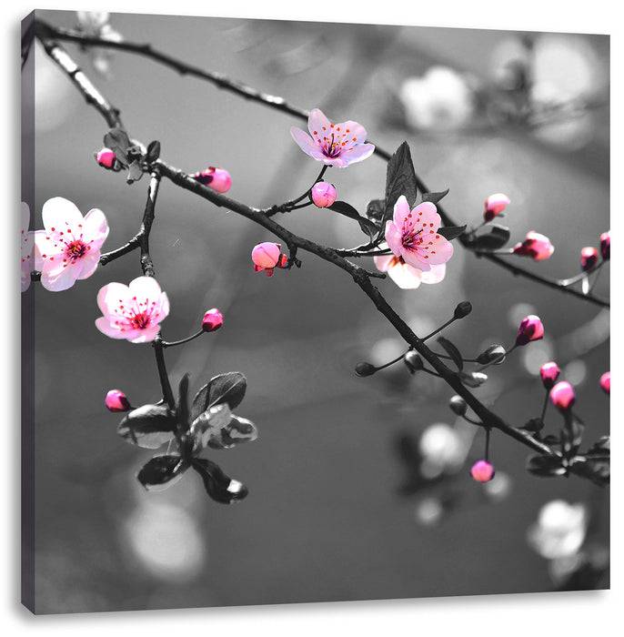 Pixxprint Exotische Sakura Blüten, Leinwandbild Bis zu 55% Rabatt