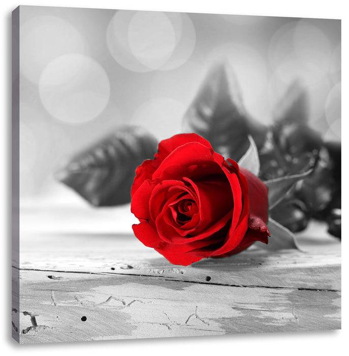 Pixxprint Rote Rose auf Holztisch, Leinwandbild Begrenzt auf 3 Tage