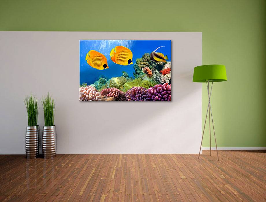 Pixxprint Fische Korallenriff, Leinwandbild Speichern exportieren