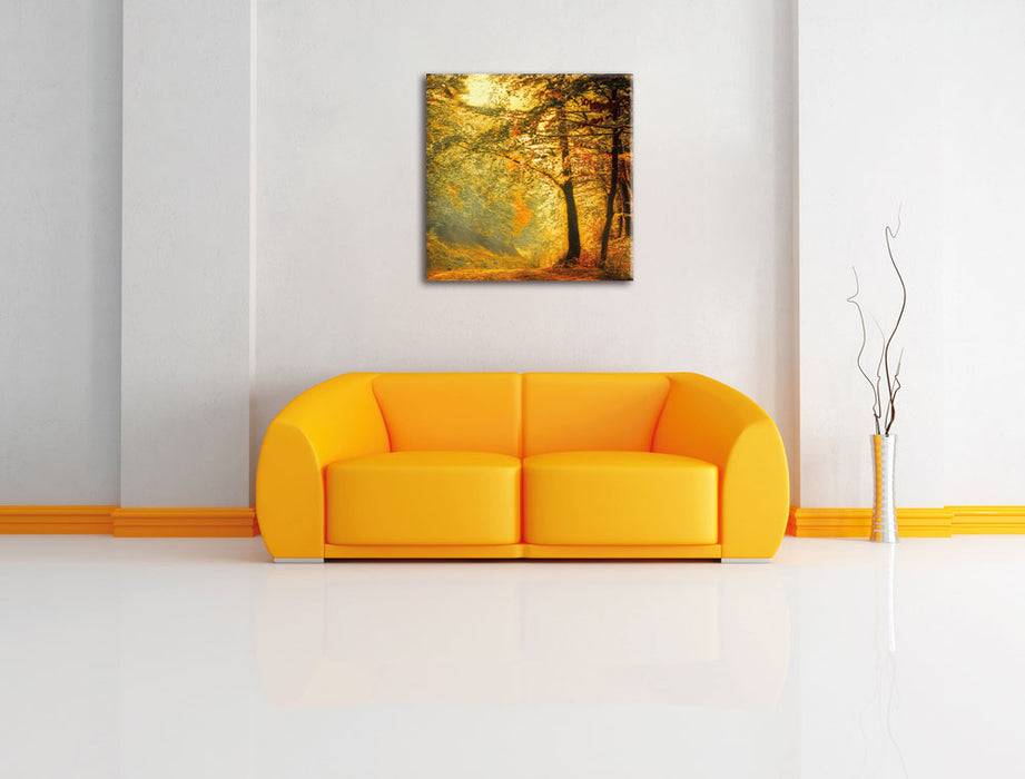 Pixxprint Wald im Herbst, Leinwandbild Outlet