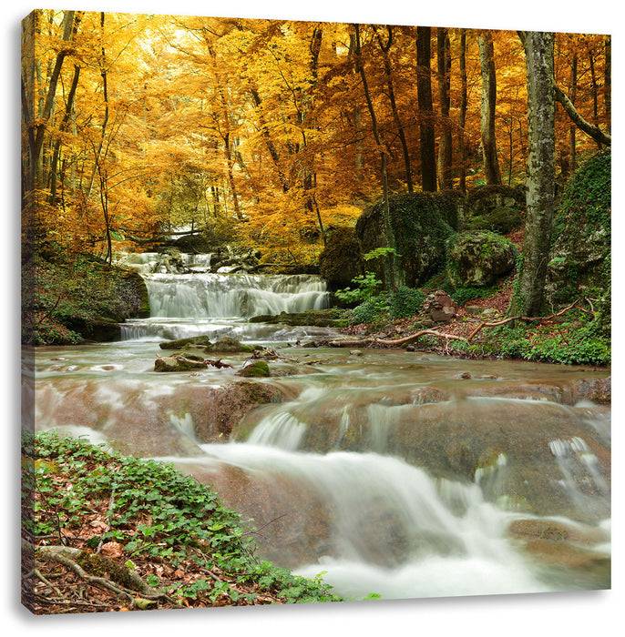 Pixxprint Waldbach im Herbst, Leinwandbild Auslauf