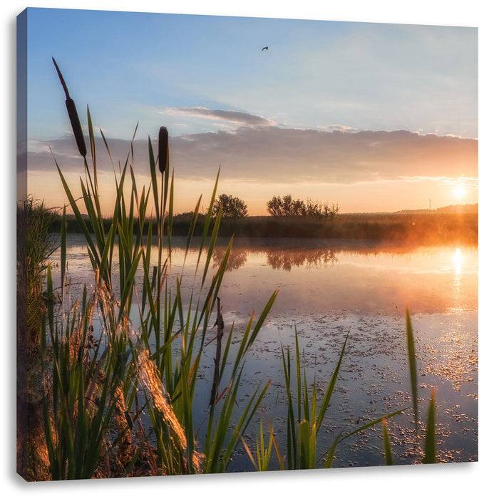Pixxprint Sonniger Morgen, Leinwandbild Verkauf