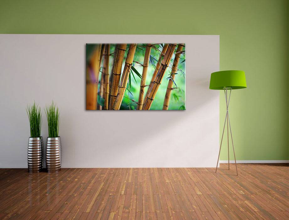 Pixxprint Alter Bambus Wald, Leinwandbild Günstiger Verkauf