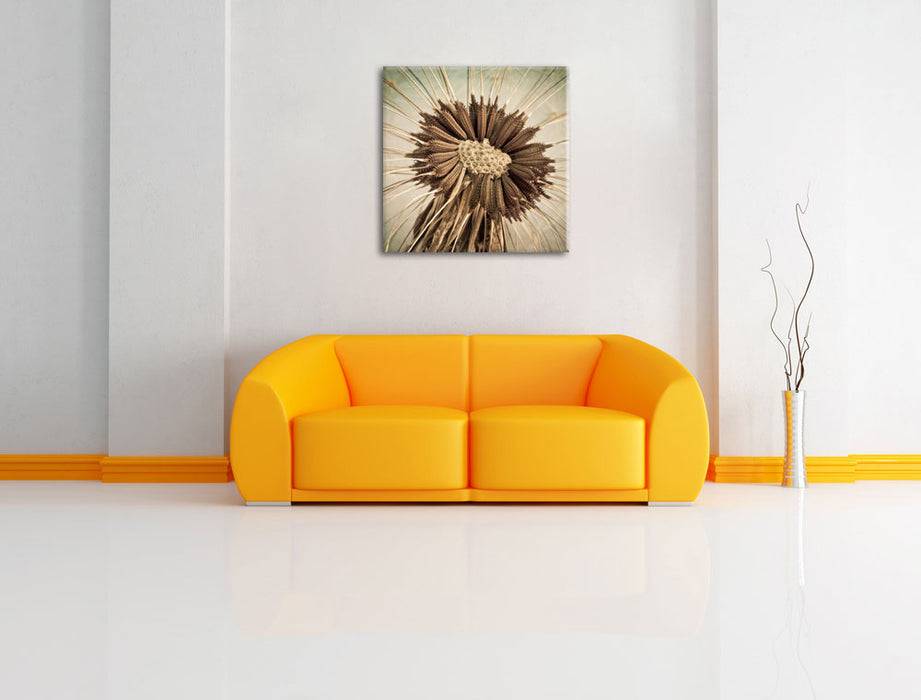Pixxprint Vertrocknete Pusteblume, Leinwandbild Meist gekauft