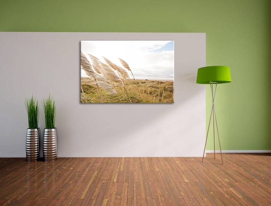 Pixxprint Schönes Schilf in den Dünen, Leinwandbild Kostenloser Versand