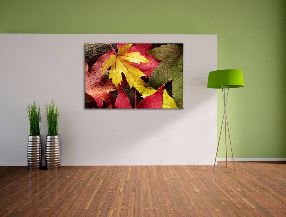Pixxprint Bunte Herbstbläter, Leinwandbild Sonderangebot