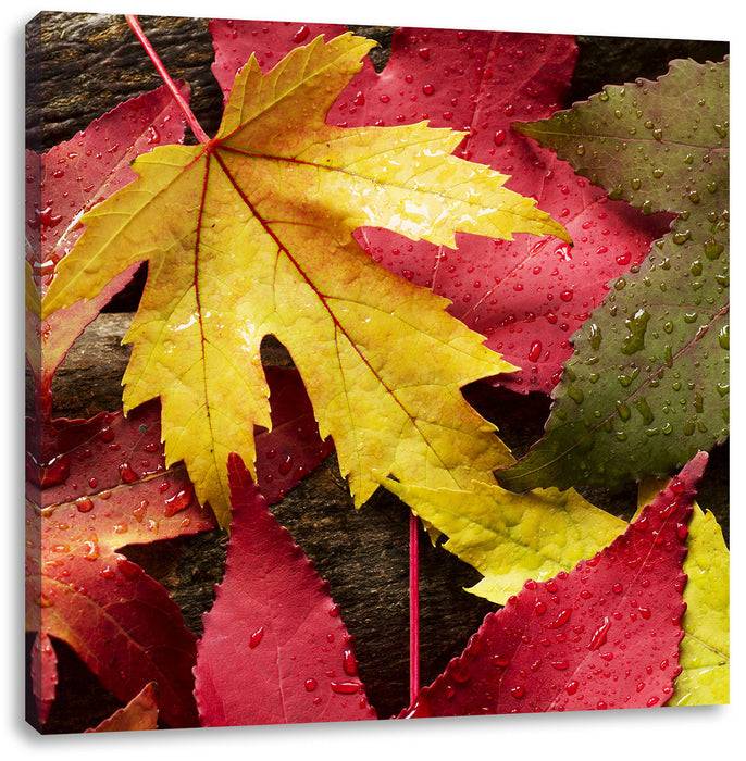 Pixxprint Bunte Herbstbläter, Leinwandbild Sonderangebot