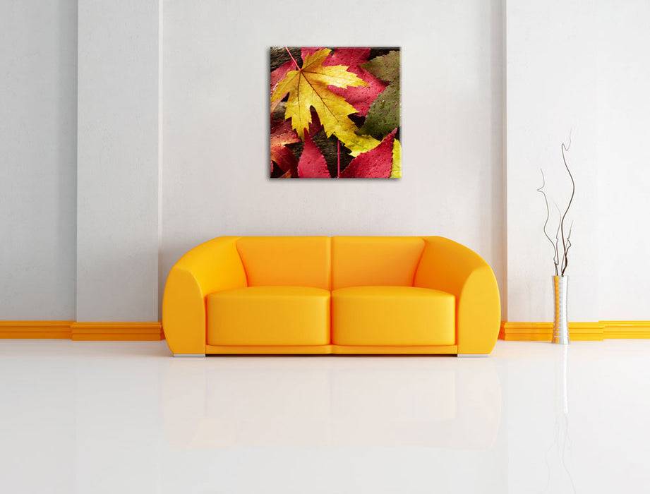 Pixxprint Bunte Herbstbläter, Leinwandbild Sonderangebot