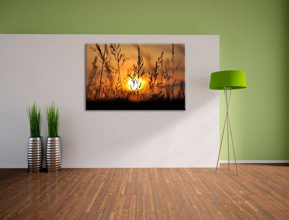 Pixxprint Gras bei Sonnenuntergang, Leinwandbild Günstig kaufen
