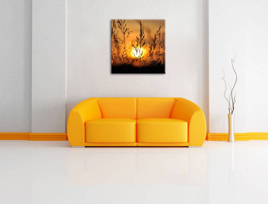 Pixxprint Gras bei Sonnenuntergang, Leinwandbild Günstig kaufen
