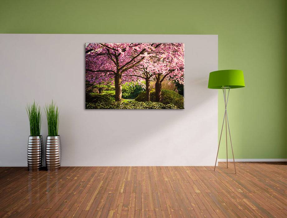 Pixxprint Rosa blühende Kirschbäume, Leinwandbild Versandkostenfrei