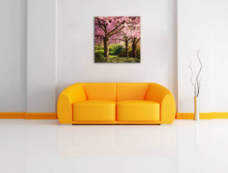 Pixxprint Rosa blühende Kirschbäume, Leinwandbild Versandkostenfrei