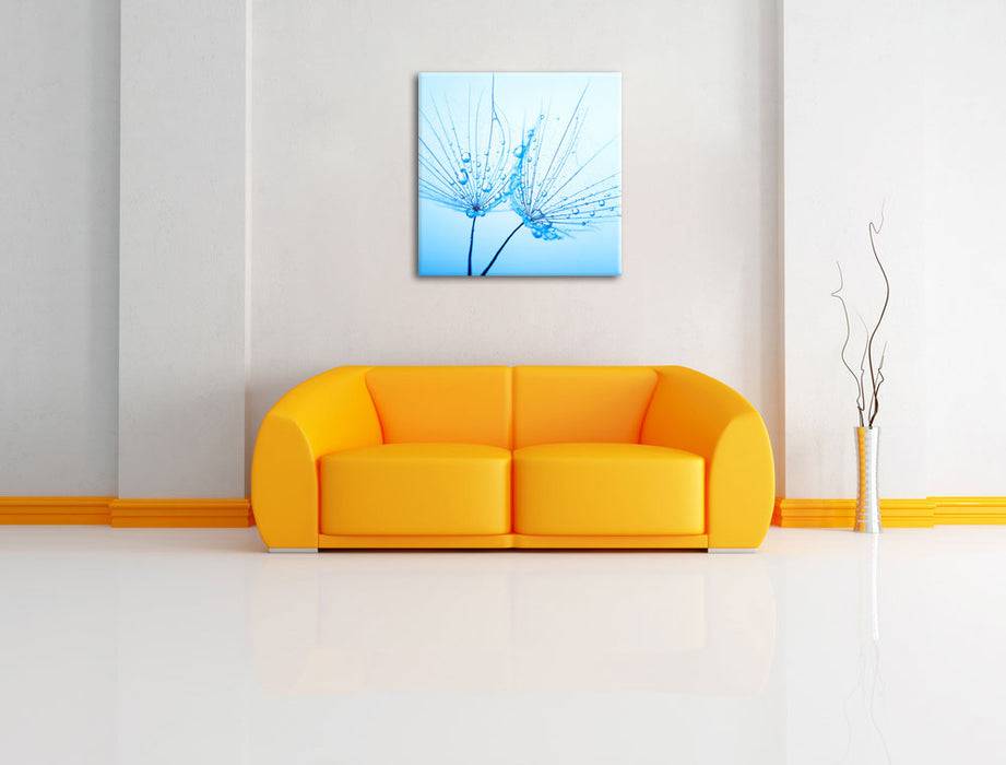 Pixxprint Pusteblumen mit Tautropfen, Leinwandbild Flash Sale
