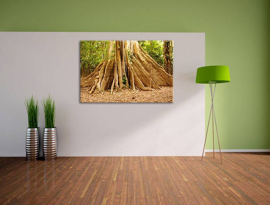 Pixxprint Mächtiger Urwald Baum, Leinwandbild Begrenztes Angebot