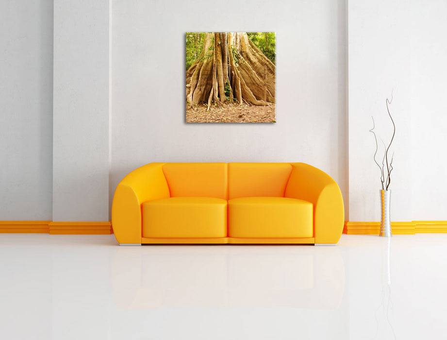 Pixxprint Mächtiger Urwald Baum, Leinwandbild Begrenztes Angebot