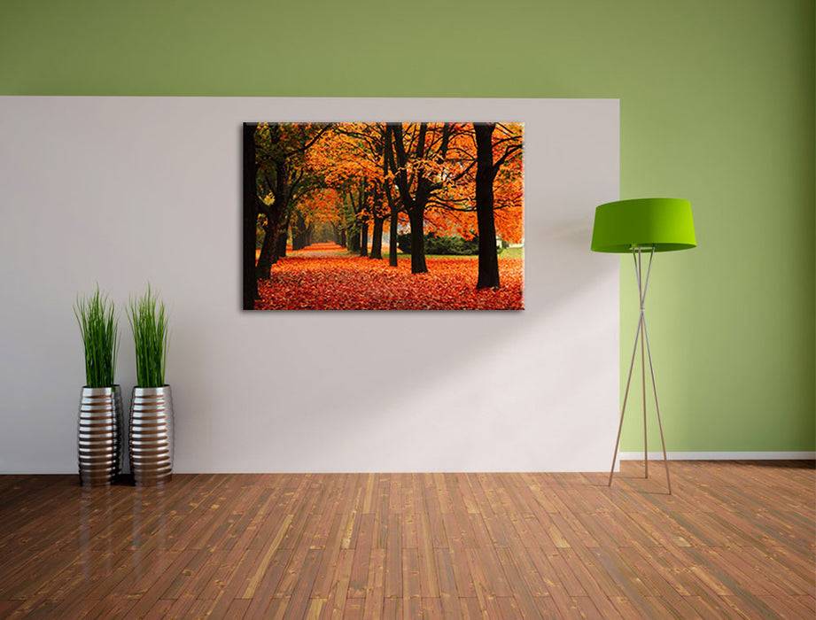 Pixxprint Baumallee im Herbst, Leinwandbild Online Shopping