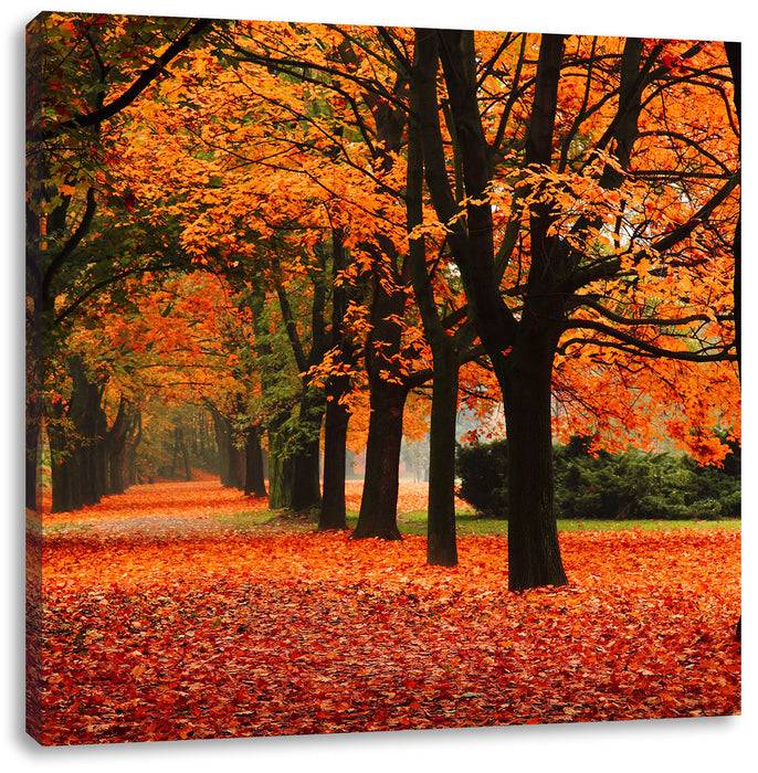 Pixxprint Baumallee im Herbst, Leinwandbild Online Shopping