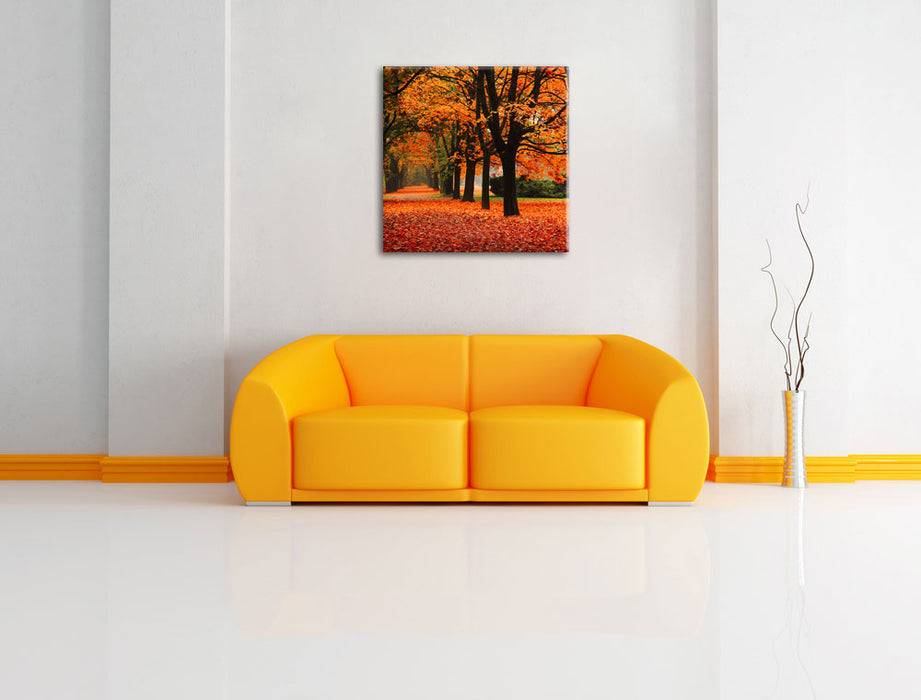 Pixxprint Baumallee im Herbst, Leinwandbild Online Shopping