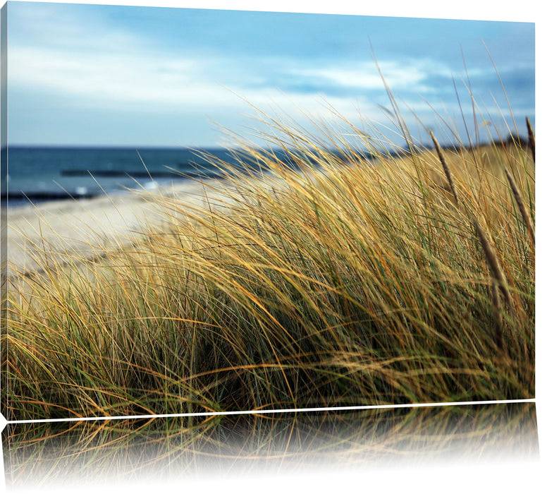 Pixxprint Schilf Gras am Ufer, Leinwandbild