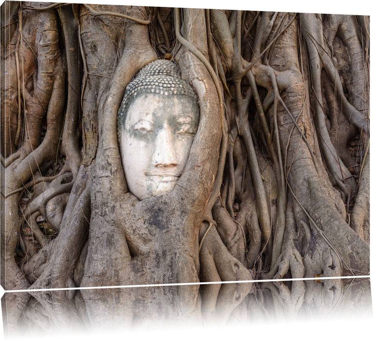 Pixxprint Buddha Kopf im Baum, Leinwandbild Saisonschlussverkauf