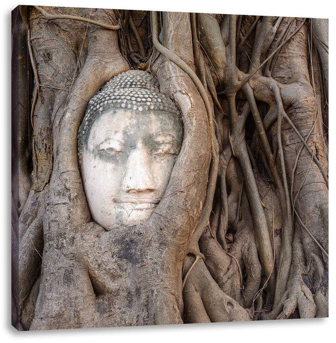 Pixxprint Buddha Kopf im Baum, Leinwandbild Saisonschlussverkauf