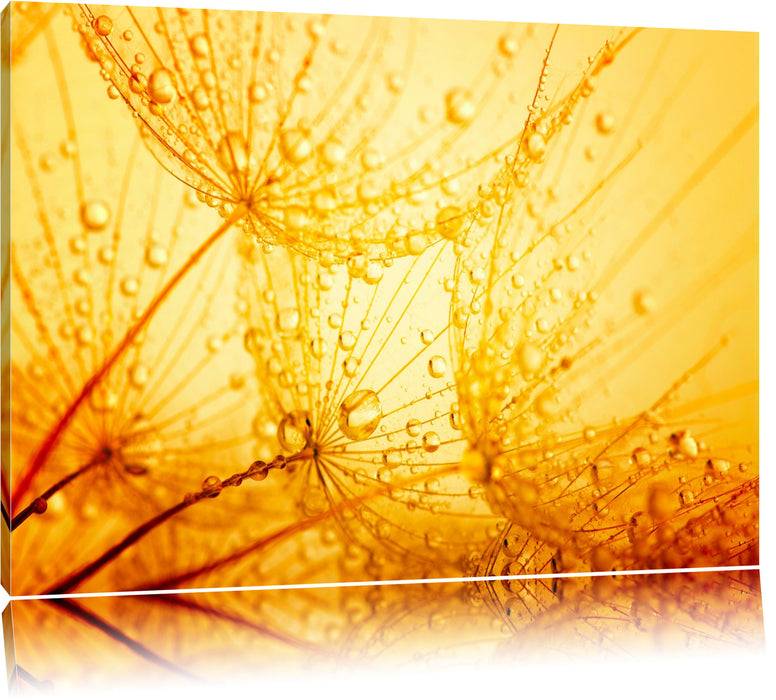 Pixxprint Pusteblumen Tau, Leinwandbild Black Friday