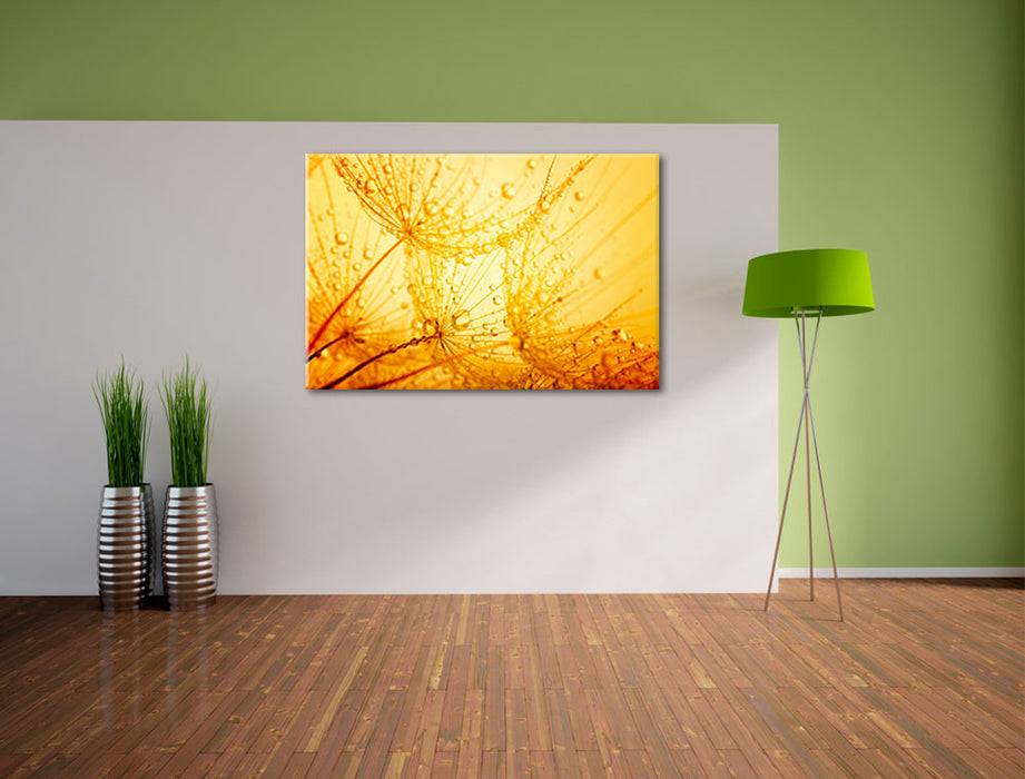 Pixxprint Pusteblumen Tau, Leinwandbild Black Friday