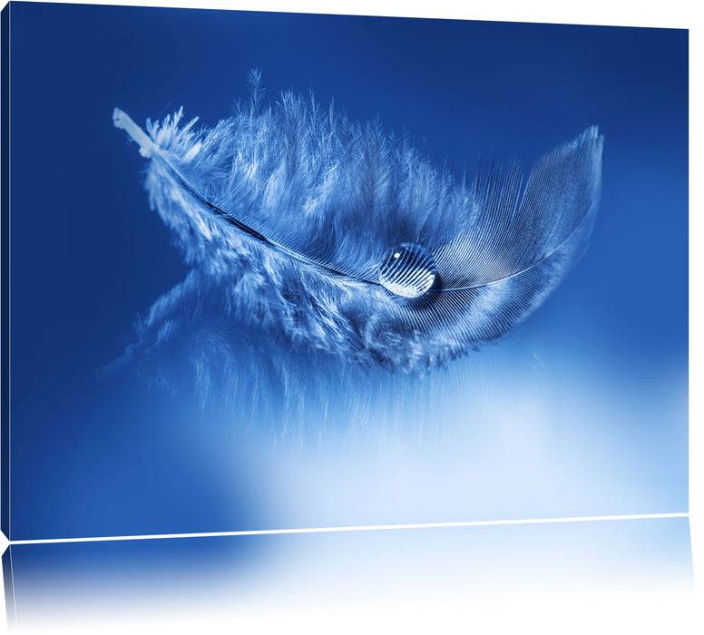 Pixxprint Wassertropfen auf Feder, Leinwandbild Super Rabatt