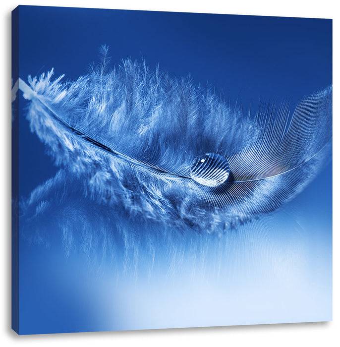 Pixxprint Wassertropfen auf Feder, Leinwandbild Super Rabatt