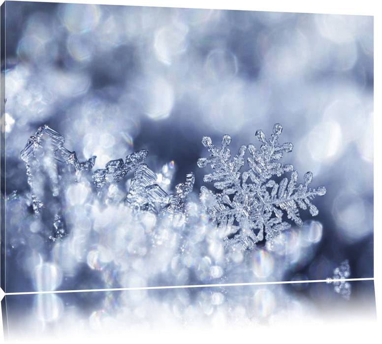Pixxprint Wunderschöner Eiskristall, Leinwandbild Riesige Rabatte