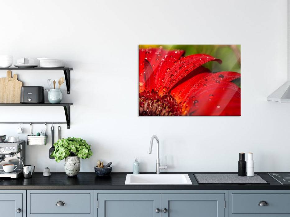Pixxprint Tautropfen auf roter Blume, Glasbild Begrenzt auf 3 Tage