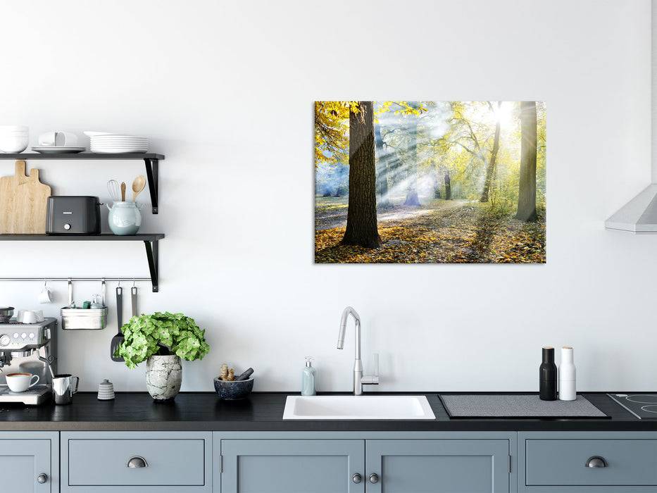 Pixxprint Sonnenstrahlen im Wald, Glasbild Black Friday Preise