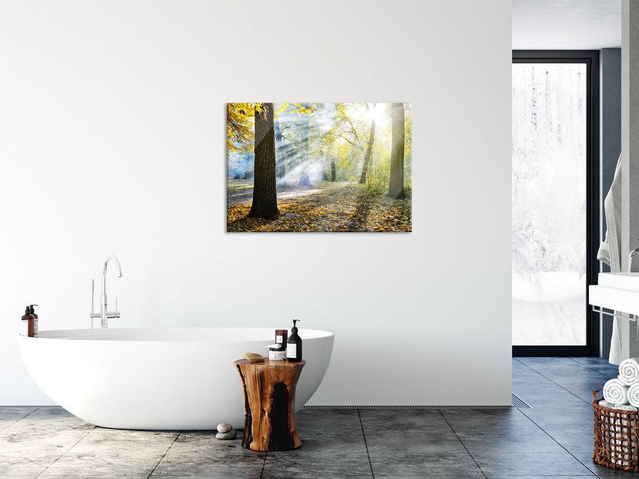 Pixxprint Sonnenstrahlen im Wald, Glasbild Black Friday Preise