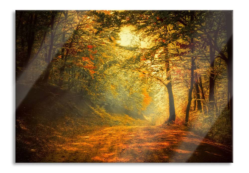 Pixxprint Wald, Glasbild