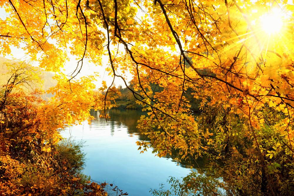 Pixxprint Landschaft mit See und Bäumen, Glasbild 2025